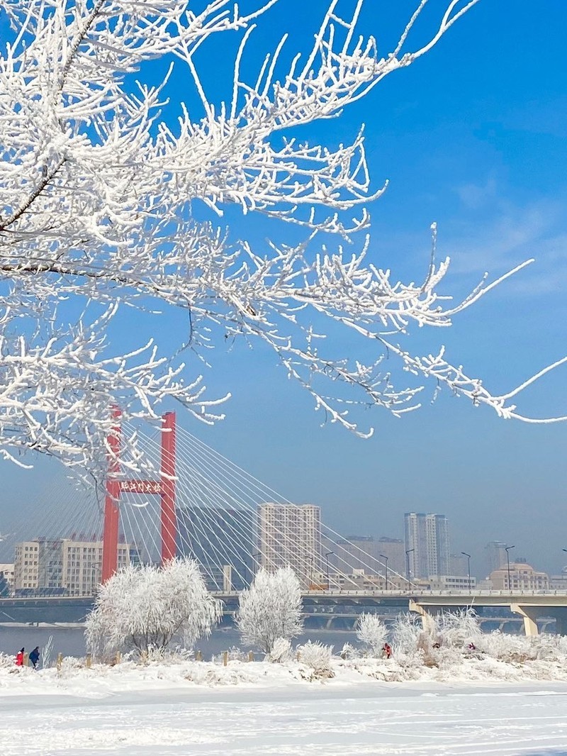 外交部发言人就吉林相关评论文章发表看法