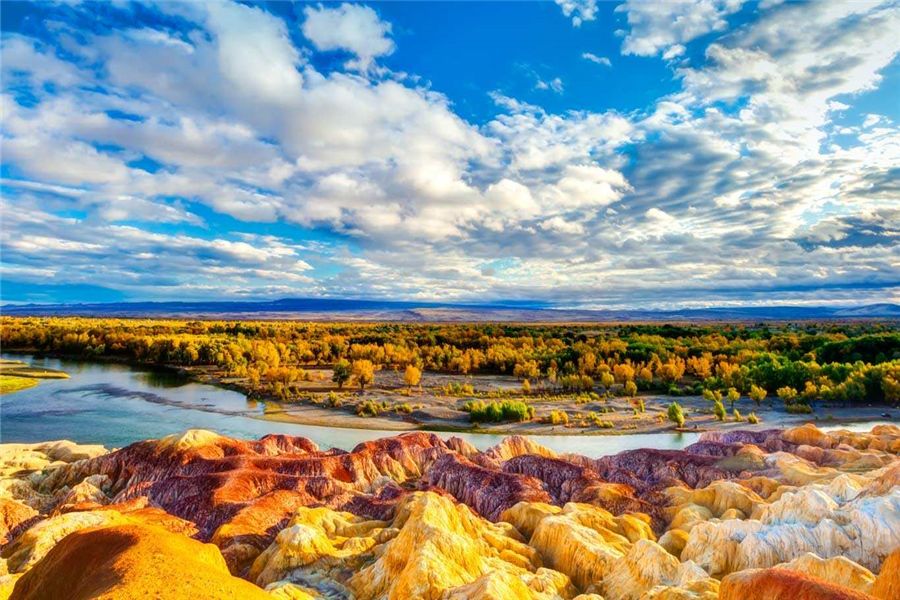 新疆智能生活，开启科技新篇章